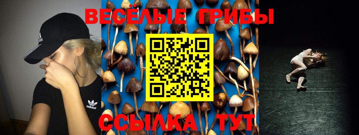 Галлюциногенные грибы Cubensis Орехово-Зуево