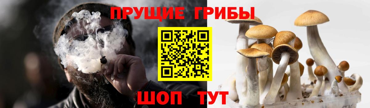 Галлюциногенные грибы мухоморы  купить наркотик  Псилоцибиновые грибы прущие грибы  Орехово-Зуево  Вход с VPN 